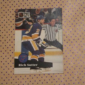 Rich Sutter #217 Hockey Card